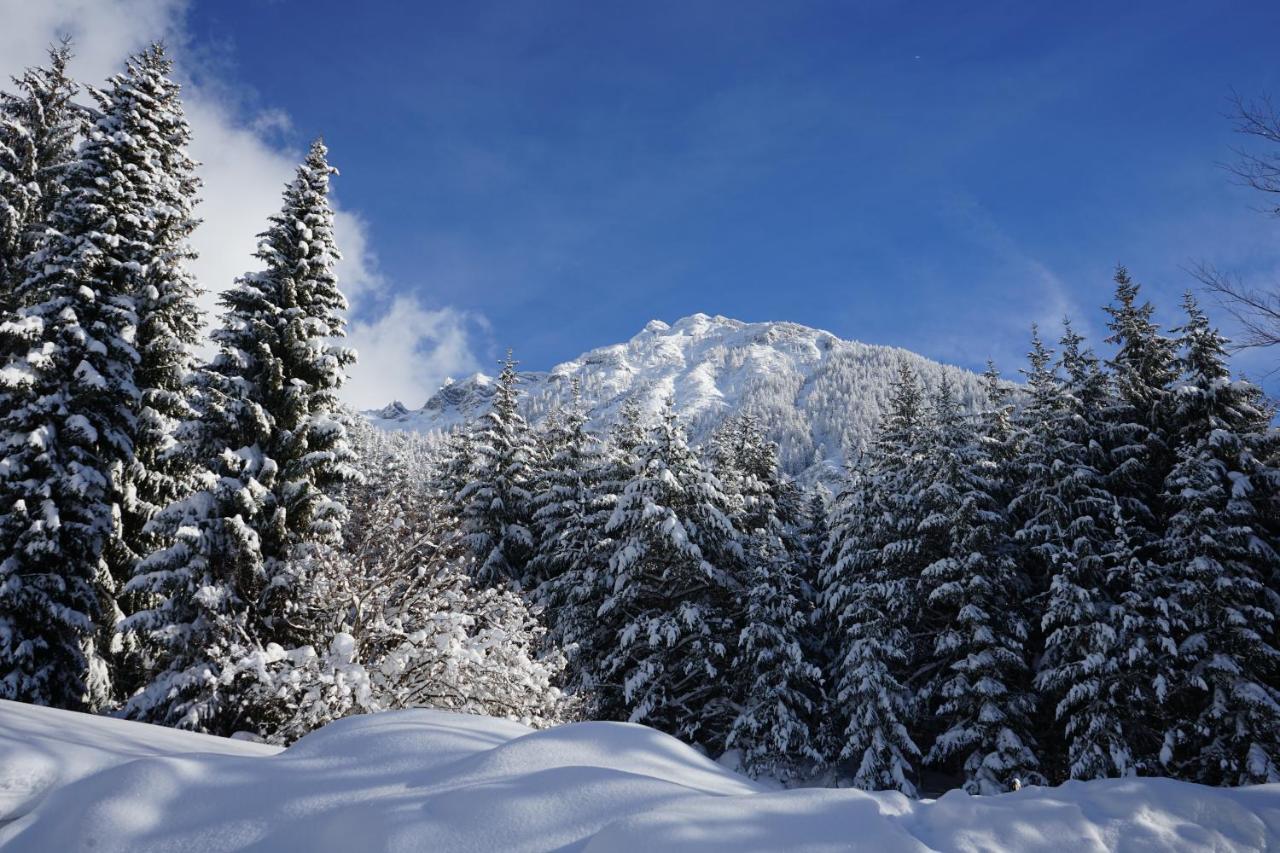Naturhotel Alpenblick Maurach  Exteriör bild